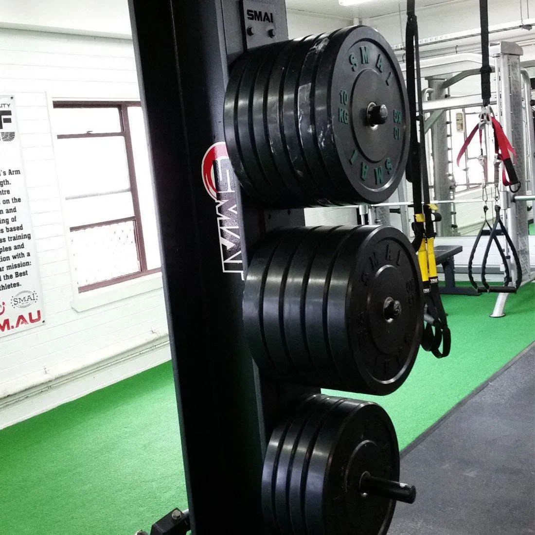 Bumper Plate Storage - Wall Mounted Smai