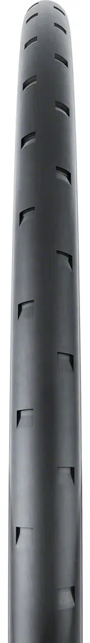Continental Aero 111 Tire - 700 x 29 Tubeless Folding BLK BLKChili Vectran Breaker