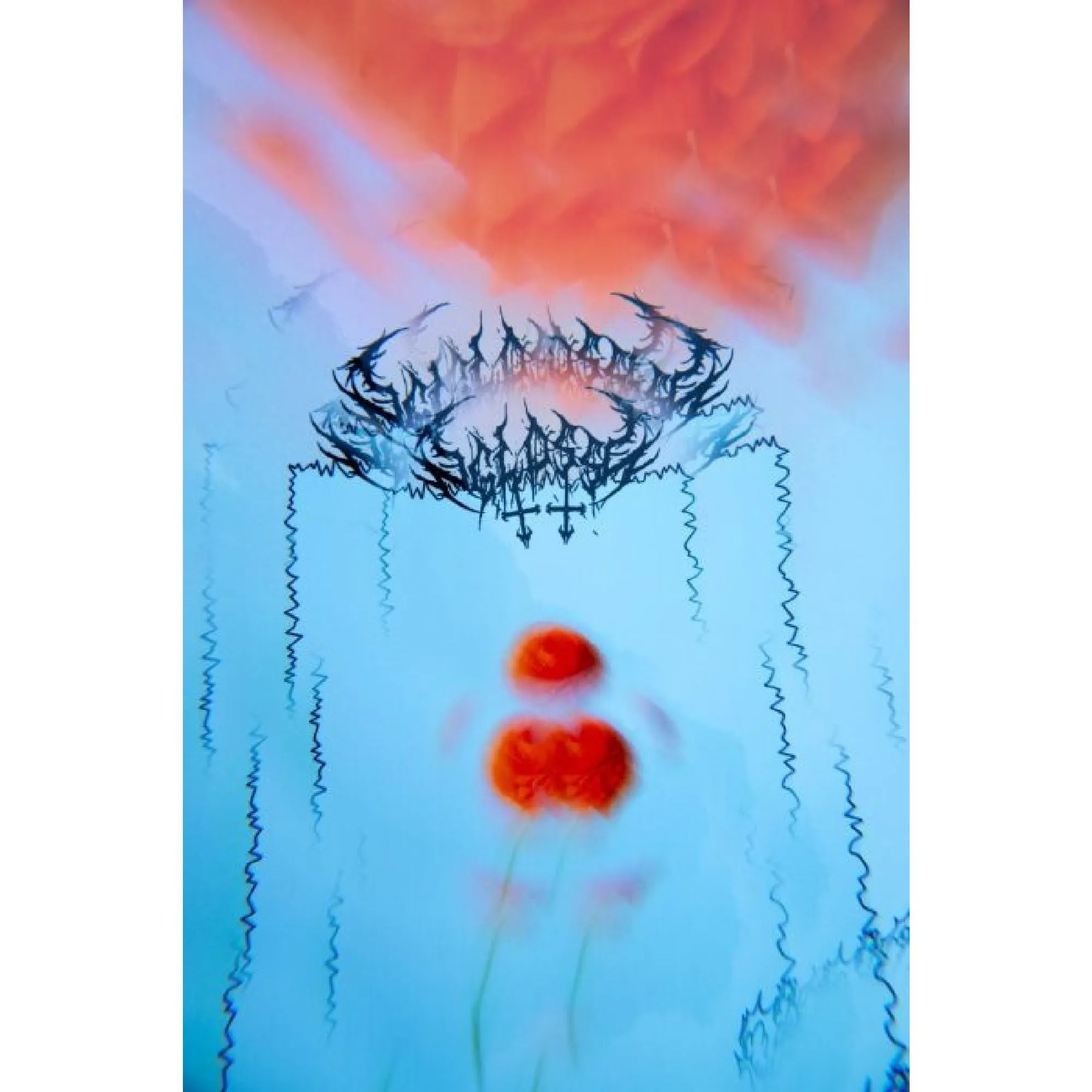 GNU Women's Gloss Snowboard 2025